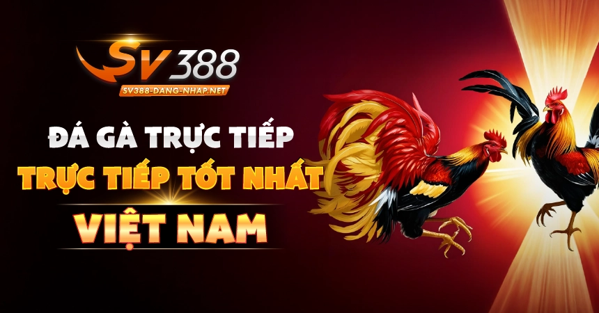Đá gà trực tiếp tốt nhất việt nam