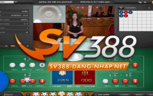 Xóc Đĩa SV388: trò chơi casino trực tuyến nổi bật 2025